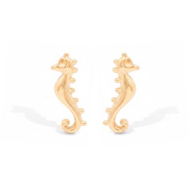 گوشواره طلا اسب آبی